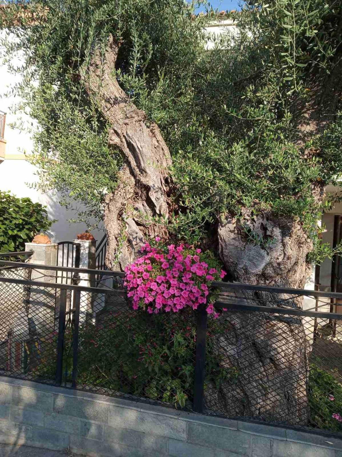 Aegean Balcony Vila Skála Kallirákhis Exterior foto